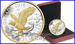 Canada 2014 Bald Eagle Perched Landing Day in Life $20 Pure Silver Gold Plated