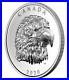 Canada_2020_25_Proud_Bald_Eagle_1_oz_Pure_Silver_EHR_Coin_Royal_Canadian_Mint_01_buyj