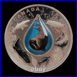 Canada $20 2017 Canadian Underwater Life