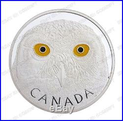 Canada Owl Commemorative Colored Silver Coin 1 Oz COINGIFT
