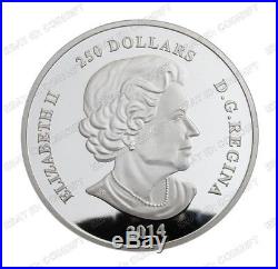 Canada Owl Commemorative Colored Silver Coin 1 Oz COINGIFT