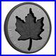 Canada_RHODIUM_20_Dollars_Super_Incuse_Silver_99_99_Maple_Leaf_Coin_2023_01_xfvn