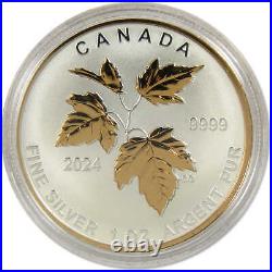 Canada's Autumn Beauty 2024 Silver Maple Fractional Set COA SKUOPC111