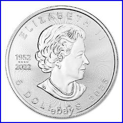 Canadian Maple Leaf Silver Bullion Coins Brilliant Uncirculated 10pcs