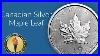 Canadian_Silver_Maple_Leaf_Coins_Royal_Canadian_Mint_Money_Metals_Exchange_01_ggp