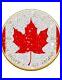 DIAMOND_FLAG_Maple_Leaf_1_Oz_Silver_Coin_5_Canada_2024_01_lza