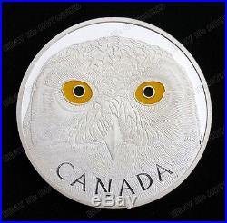 Exquisite Canada Owl Collectible Commemorative Silver Coin 1 OZ HOTCOINS