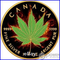INDICA Maple Leaf Burning Marijuana 1 Oz Silver Coin 5$ Canada 2017