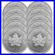 Lot_of_10_2025_5_Silver_Canadian_Maple_Leaf_1_oz_BU_01_oolf