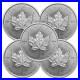Lot_of_5_2025_5_Silver_Canadian_Maple_Leaf_1_oz_BU_01_nwk