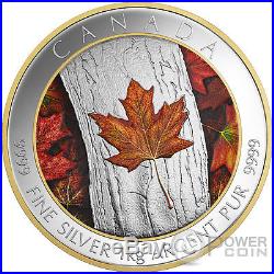 MAPLE LEAF FOREVER Colored 1 Kg Kilo Silver Coin 250$ Canada 2016