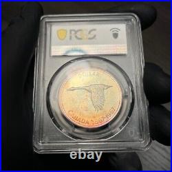 MS64 1967 $1 Canada Silver Goose Dollar, PCGS Secure- Pretty Toned