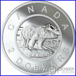 MULTILAYERED POLAR BEAR Silver Coin 2$ Canada 2019