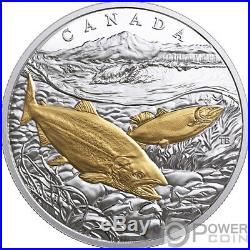 PACIFIC SALMON From Sea To Sea To Sea 1 Oz Silver Coin 20$ Canada 2017