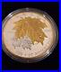 Royal_Canadian_Mint_2014_9999_Fine_Silver_Fractional_Set_The_Maple_Leaf_01_dvv
