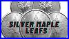 Should_We_Be_Stacking_The_2023_Canadian_Silver_Maple_Leafs_My_Thoughts_01_swi