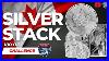 The_Canadian_Silver_Maple_Leaf_01_hw