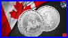 This_Two_Ounce_Canadian_Silver_Coin_Is_9999_Beefy_But_Is_It_Fairly_Priced_01_bfg