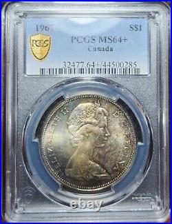 Toned Silver 1967 Canada $1 Dollar PCGS MS64+