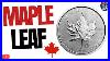 Why_I_Stack_The_Canadian_Silver_Maple_Leaf_Coin_01_in